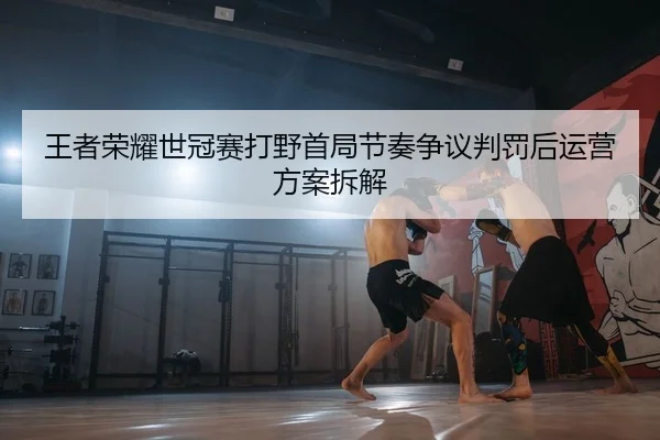 wang-zhe-rong-yao-shi-guan-sai-da-ye-shou-ju-jie-zou-zheng-yi-pan-fa-hou-yun-ying-fang-an-chai-jie-2-647.jpg