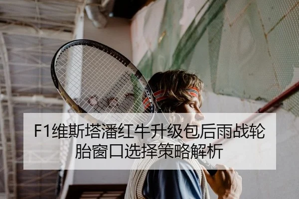 F1维斯塔潘红牛升级包后雨战轮胎窗口选择策略解析